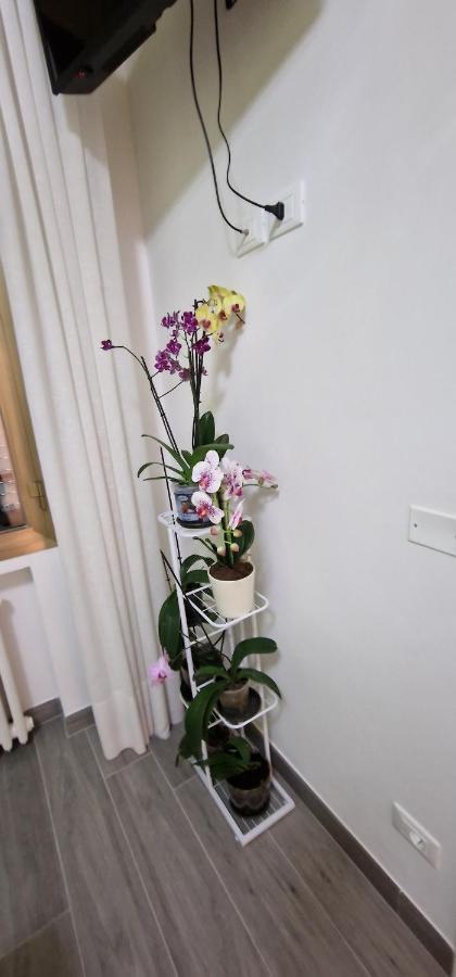 Bed and Breakfast Orchidea Болонья Екстер'єр фото